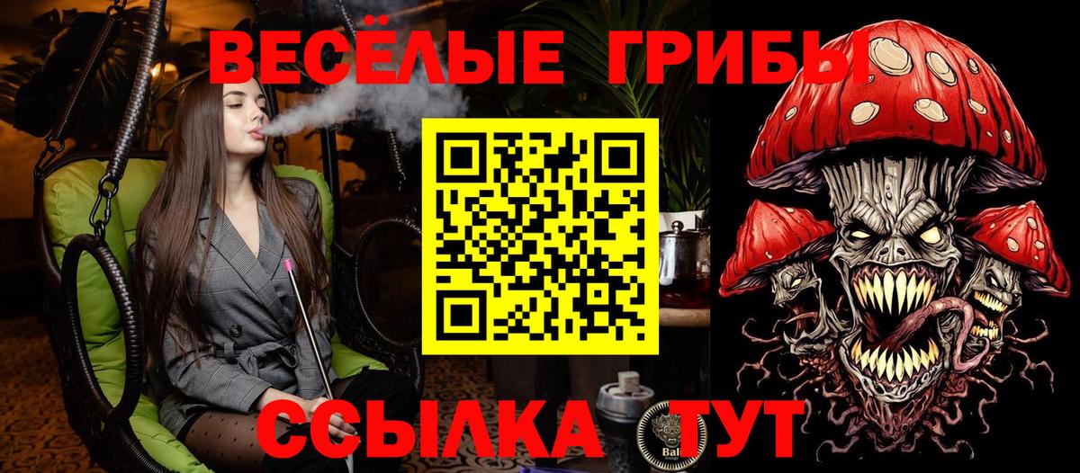 Сосновый Бор  Галлюциногенные грибы мицелий  Вход с VPN 
